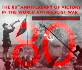 观察者网这篇文章，问题很大